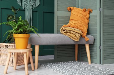 Güzel odada yeşil duvarın yanında rahat bir bank, ev bitkisi, yastık ve halı