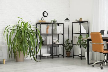 Çalışma yeri ve raf ünitesi olan modern ofis.