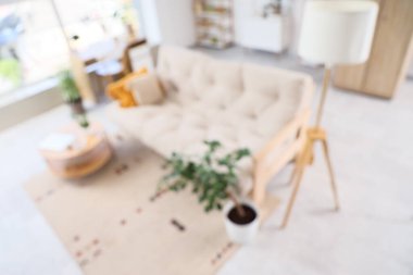 Kanepe, masa ve lamba ile aydınlık oturma odasını bulanık görmek