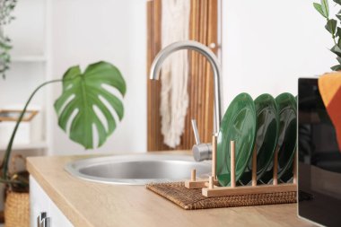 Tabaklar, lavabo ve ev bitkisi modern mutfağın içinde.