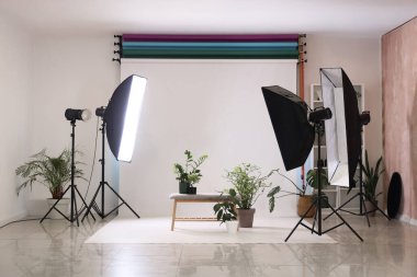 Modern fotoğraf stüdyosunda ev bitkileri ve ışıklandırma ekipmanları olan gri bank.