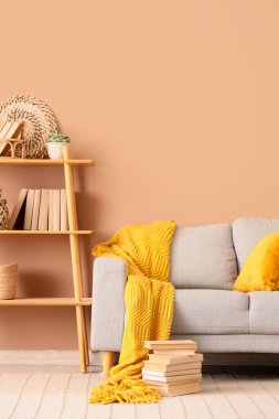 Konforlu kanepe, raf ünitesi ve oturma odasının iç tarafında bir yığın kitap.