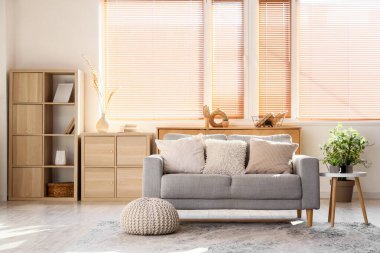 Gri kanepesi, kitaplığı ve kitapları olan şık bir oturma odası.