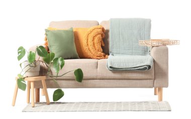 Modern bej kanepe ve beyaz arka planda izole edilmiş bitki.