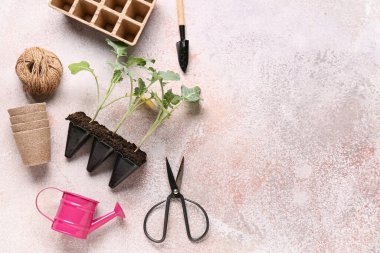 Bej grunge arka planda fideleri ve bahçe aletleri olan saksılar