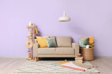 Gri kanepesi, duruşu ve sepeti olan şık bir oturma odası.