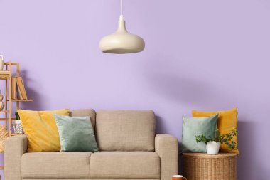 Gri kanepesi, sepeti ve lambası olan şık bir oturma odası.