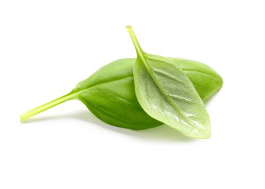 Beyaz arkaplanda taze fesleğen yaprakları