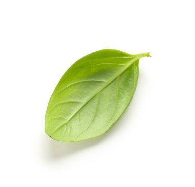 Beyaz arkaplanda taze fesleğen yaprağı