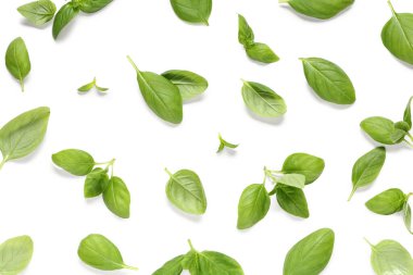 Beyaz arkaplanda taze fesleğen yaprağı dokusu