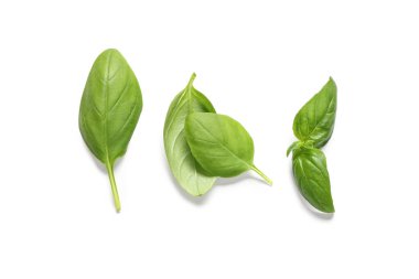 Beyaz arkaplanda taze yeşil fesleğen yaprakları