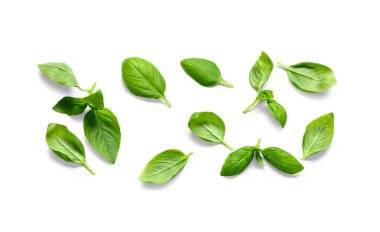 Beyaz arka planda bir sürü taze fesleğen yaprağı