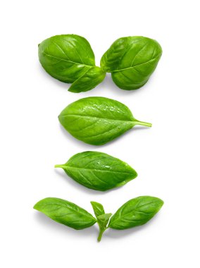 Beyaz arkaplanda çok sayıda yeşil fesleğen yaprağı