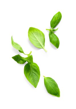 Beyaz arkaplanda çok sayıda yeşil fesleğen yaprağı