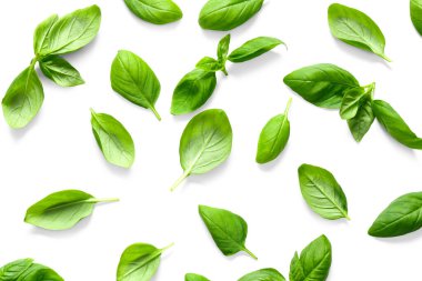 Beyaz arkaplanda taze fesleğen yaprağı dokusu