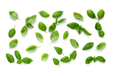 Beyaz arkaplanda taze fesleğen yaprağı dokusu