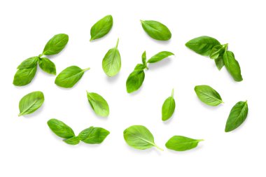 Beyaz arkaplanda taze fesleğen yaprağı dokusu