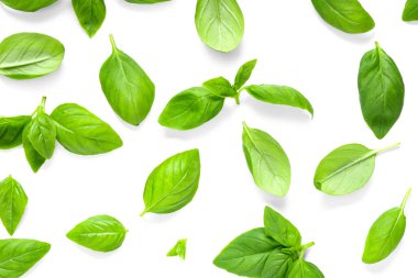 Beyaz arkaplanda taze fesleğen yaprağı dokusu