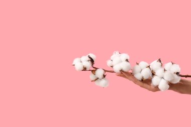 Pembe arka planda pamuk çiçeklerle el ele tutuşan kadın, yakın plan.