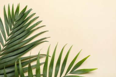 Bej arka planda güzel tropikal yapraklar, yakın plan