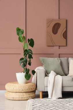 İçinde Monstera bitkisi, puf ve kanepe olan bir oturma odası.