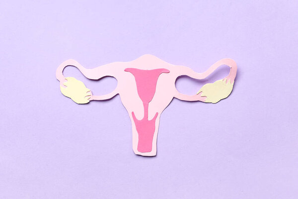 Paper uterus on lilac background