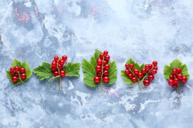 Mavi arka planda yaprakları olan taze kırmızı üzümler