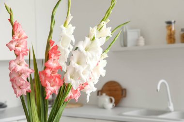 Mutfakta güzel gladiolus çiçekleri, yakın plan.