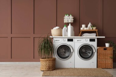 Çamaşır makineleri, sepeti ve palmiye bitkisi olan çamaşır odasının içi.