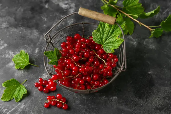 Gri grunge arka planda taze üzümlü sepet, yakın plan.