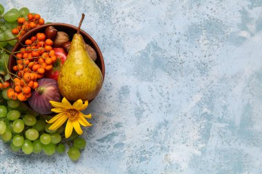 Mavi arka planda farklı taze meyve ve böğürtlenli kase