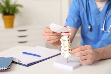 Omurga modeli olan erkek doktor klinikte, yakın plan.