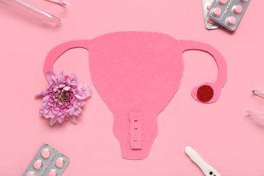 İçinde haplar ve pembe arka planda kasımpatı çiçeği olan kağıt rahim.