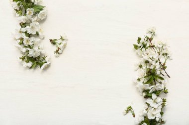 Beyaz ahşap arka planda çiçek açan güzel dallar.