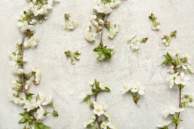 Güzel çiçek dalları gri arka plan üzerinde