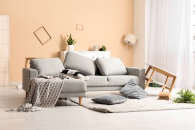 Kanepesi ve yastığı halıda olan dağınık bir oturma odası.