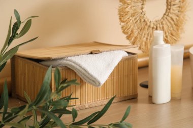 Masadaki tahta kutu ve modern banyoda bej duvarın yanındaki dekoratif zeytin ağacı.