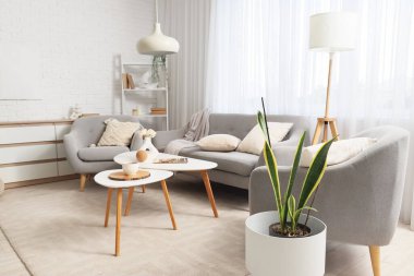 Rahat bir kanepe, yastıklı koltuklar, çay masaları ve vazodaki çiçekler.