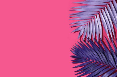 Pembe arka planda neon tropikal palmiye yaprakları