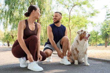 Avustralyalı çoban köpeği olan genç bir çift parkta ayakkabı bağcıklarını bağlıyor.