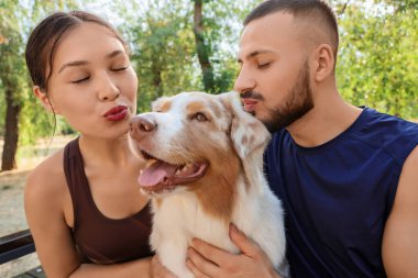 Parkta Avustralyalı çoban köpeğini öpen genç bir çift.