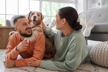 Avustralya çoban köpeği olan genç çift evdeki halıda yatıyor.
