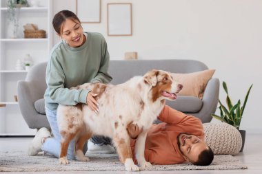 Avustralya çoban köpeği olan genç bir çift.
