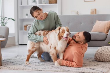 Avustralya çoban köpeği olan genç bir çift.