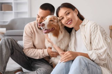 Avustralya çoban köpeği olan genç çift taşınma gününde odada oturuyor.