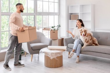 Kutusu olan genç bir çift ve taşınma gününde Avustralyalı çoban köpeği