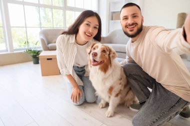 Avustralyalı çoban köpeği olan genç çift taşınma gününde odada selfie çekiyor.