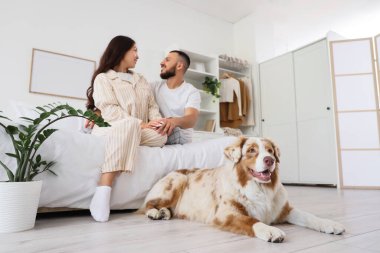 Avustralya çoban köpeği ve yatak odasında genç bir çift.