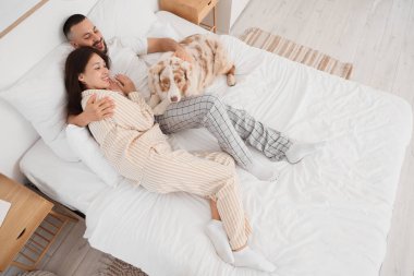 Avustralya çoban köpeği olan genç çift yatak odasında yatıyor.
