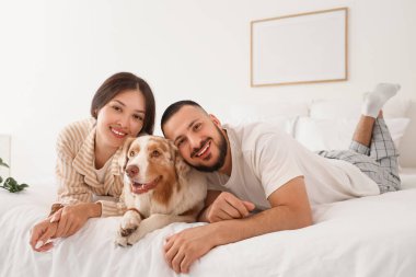 Avustralya çoban köpeği olan genç çift yatak odasında yatıyor.